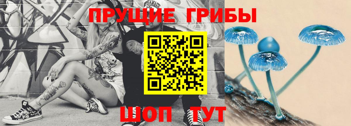 Галлюциногенные грибы прущие грибы  купить наркотики цена  Соликамск  Вход с VPN 